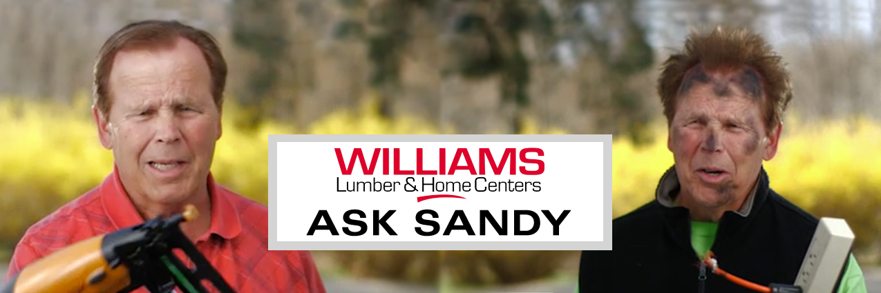 Ask Sandy Page Header Image